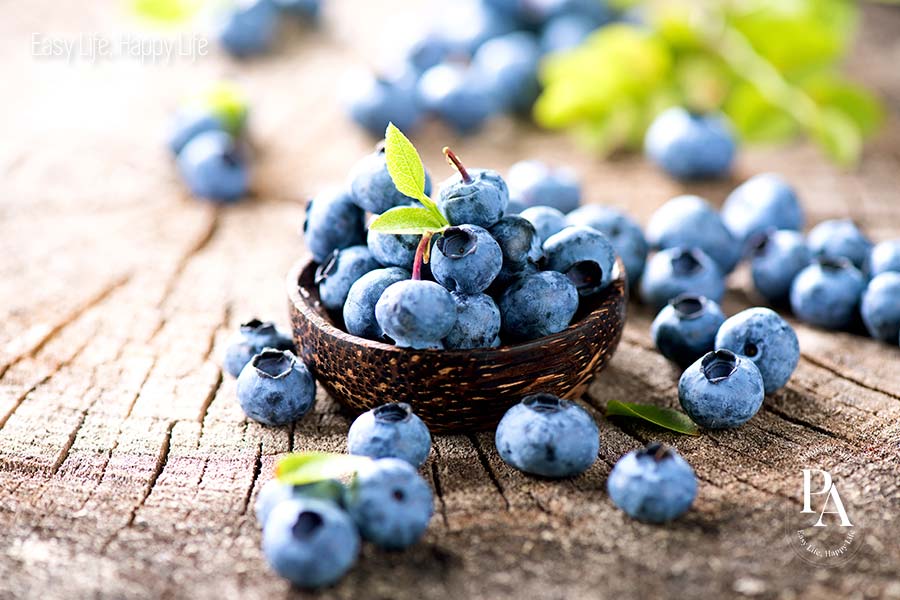 Việt quất (Blueberry) nằm trong danh sách tổng hợp các loại trái cây ít đường cực tốt cho sức khỏe.
