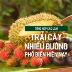 Tổng hợp các loại trái cây nhiều đường phổ biến hiện nay