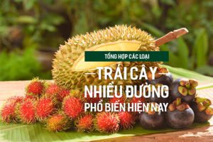 Tìm hiểu Kẽm là gì và vai trò của Kẽm đối với sức khỏe?, PlansbyAnh