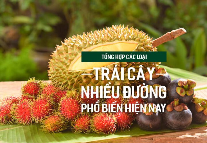 Tổng hợp các loại trái cây nhiều đường phổ biến hiện nay