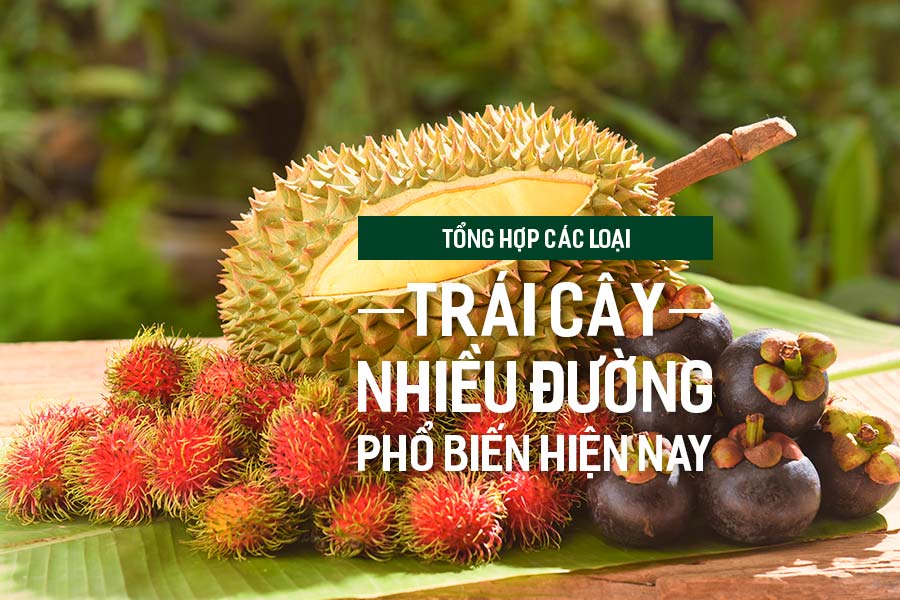 Tổng hợp các loại trái cây nhiều đường phổ biến hiện nay, PlansbyAnh