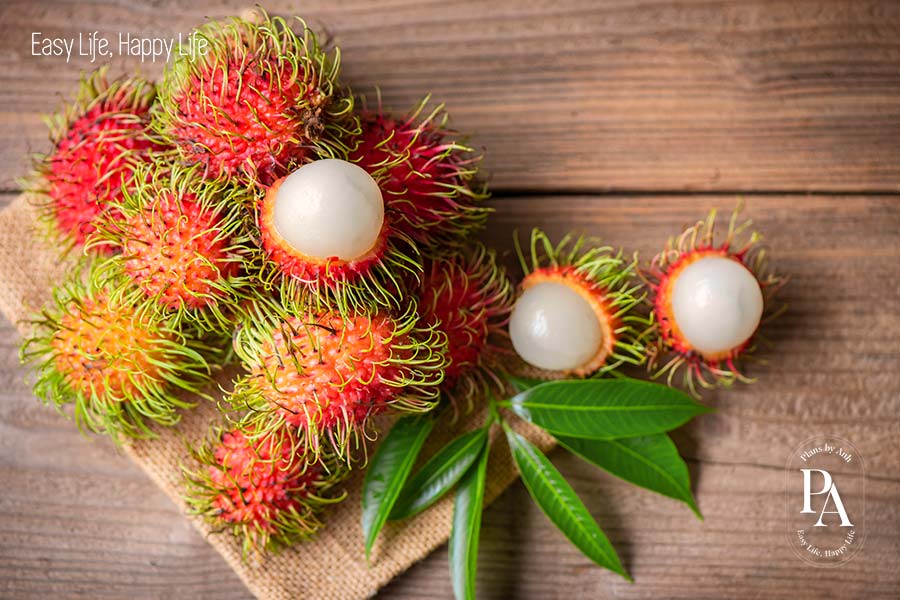 Chôm chôm (Rambutan) nằm trong danh sách tổng hợp các loại trái cây nhiều đường phổ biến hiện nay.