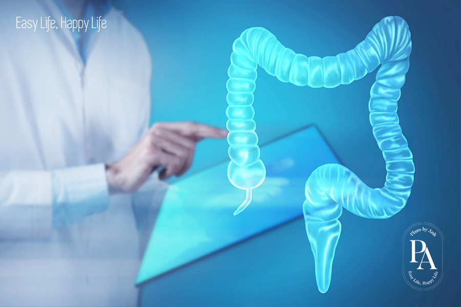 Tìm hiểu chất xơ là gì và vai trò của chất xơ đối với sức khỏe?